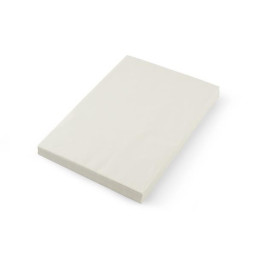 Papier pergaminowy (500...